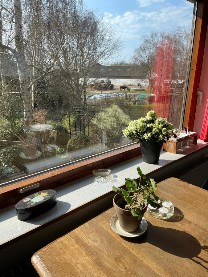 Retro Bolig - Fyldt Med Hygge! Ingen Luksus Apartment Kolind Exterior photo